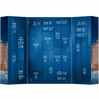 Satisfyer - Premium advent kalender