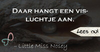 Daar hangt een visluchtje aan Daar hangt een visluchtje aan