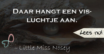 Daar hangt een visluchtje aan