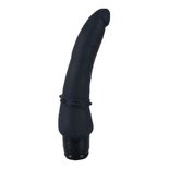 Anaal vibrator