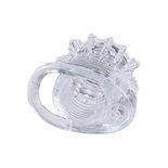 Clear Sensations