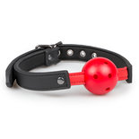 Ball gag