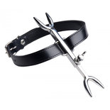 Heretic's Fork