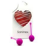 Saninex - Clever